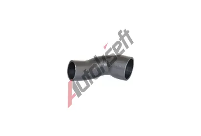 BUGIAD Hadice plnicho vzduchu BGD 81624, 81624