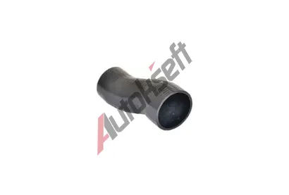 BUGIAD Hadice plnicho vzduchu BGD 81629, 81629