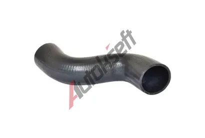 BUGIAD Hadice plnicho vzduchu BGD 81636, 81636