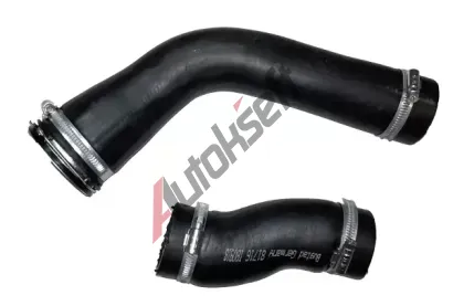 BUGIAD Hadice plnicho vzduchu BGD 81716, 81716