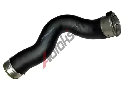 BUGIAD Hadice plnic�ho vzduchu BGD 81728, 81728