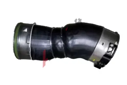 BUGIAD Hadice plnicho vzduchu BGD 81731, 81731