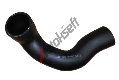 BUGIAD Hadice plnicho vzduchu BGD 81819, 81819