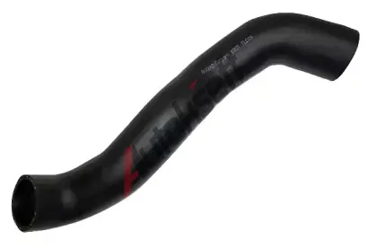 BUGIAD Hadice plnicho vzduchu BGD 81821, 81821