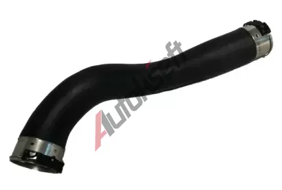 BUGIAD Hadice plnicího vzduchu BGD 81854, 81854 BUGIAD Hadice plnicího vzduchu BGD 81854, 81854