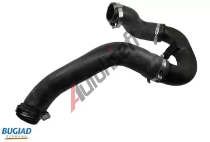 BUGIAD Hadice plnicího vzduchu BGD 81951, 81951 BUGIAD Hadice plnicího vzduchu BGD 81951, 81951