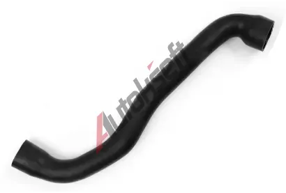 BUGIAD Hadice plnicho vzduchu BGD 81956, 81956