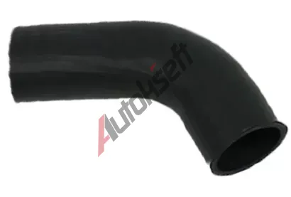 BUGIAD Hadice plnic�ho vzduchu BGD 81964, 81964