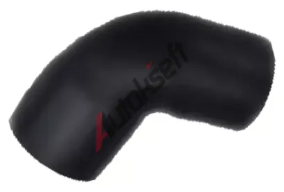 BUGIAD Hadice plnicího vzduchu BGD 81971, 81971 BUGIAD Hadice plnicího vzduchu BGD 81971, 81971