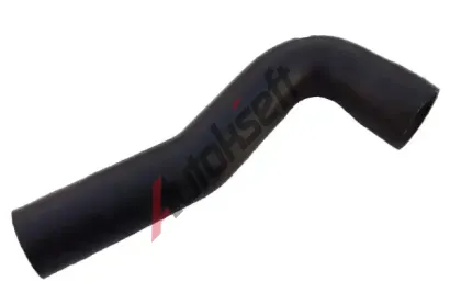 BUGIAD Hadice plnic�ho vzduchu BGD 81984, 81984