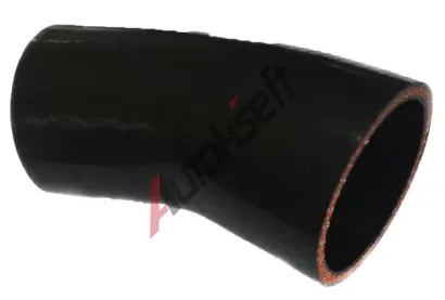 BUGIAD Hadice plnicho vzduchu BGD 81987, 81987