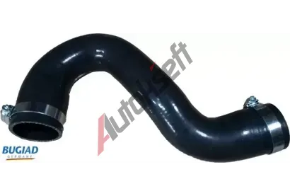 BUGIAD Hadice plnicho vzduchu BGD 82093, 82093