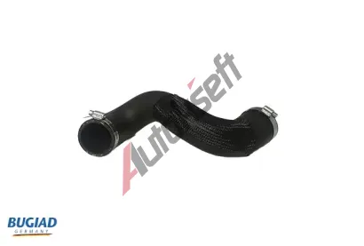 BUGIAD Hadice plnicho vzduchu BGD 82272, 82272