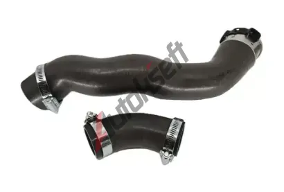 BUGIAD Hadice plnic�ho vzduchu BGD 82566, 82566