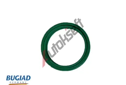 BUGIAD Hadice plnic�ho vzduchu BGD 82568, 82568