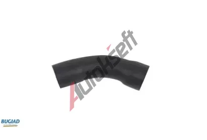 BUGIAD Hadice plnicho vzduchu BGD 82621, 82621