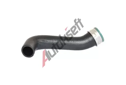 BUGIAD Hadice plnicho vzduchu BGD 82650, 82650