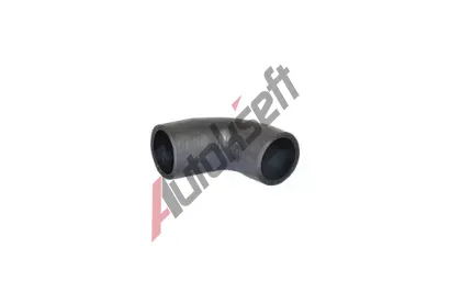 BUGIAD Hadice plnicho vzduchu BGD 82682, 82682