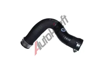 BUGIAD Hadice plnicho vzduchu BGD 82689, 82689