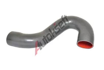 BUGIAD Hadice plnicho vzduchu BGD 82698, 82698