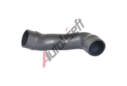 BUGIAD Hadice plnicho vzduchu BGD 82706, 82706