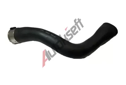 BUGIAD Hadice plnicho vzduchu BGD 85600, 85600