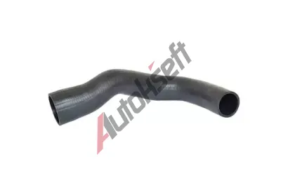 BUGIAD Hadice plnicho vzduchu BGD 85601, 85601