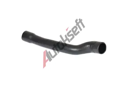 BUGIAD Hadice plnic�ho vzduchu BGD 85625, 85625