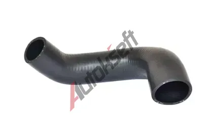 BUGIAD Hadice plnicho vzduchu BGD 85633, 85633