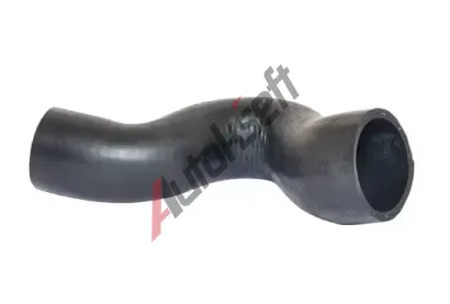 BUGIAD Hadice plnicho vzduchu BGD 85636, 85636