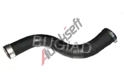 BUGIAD Hadice plnicho vzduchu BGD 86600, 86600