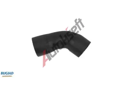 BUGIAD Hadice plnicho vzduchu BGD 86619, 86619