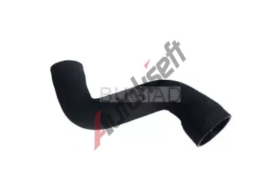 BUGIAD Hadice plnicho vzduchu BGD 86622, 86622