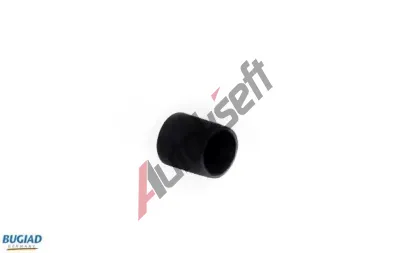 BUGIAD Hadice plnicho vzduchu BGD 86626, 86626