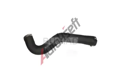 BUGIAD Hadice plnicho vzduchu BGD 86648, 86648