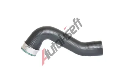 BUGIAD Hadice plnicho vzduchu BGD 87603, 87603