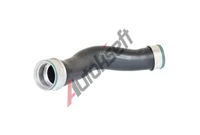 BUGIAD Hadice plnicho vzduchu BGD 87604, 87604