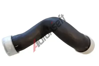 BUGIAD Hadice plnicho vzduchu BGD 87620, 87620