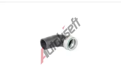 BUGIAD Hadice plnicho vzduchu BGD 87632, 87632