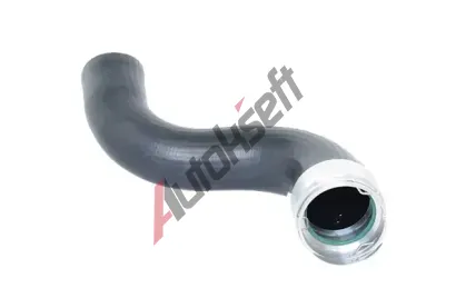 BUGIAD Hadice plnic�ho vzduchu BGD 88560, 88560