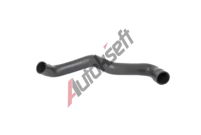 BUGIAD Hadice plnic�ho vzduchu BGD 88565, 88565