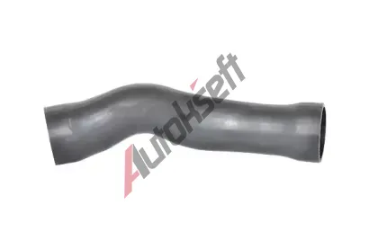 BUGIAD Hadice plnic�ho vzduchu BGD 88587, 88587