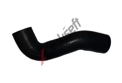 BUGIAD Hadice plnicho vzduchu BGD 88589, 88589