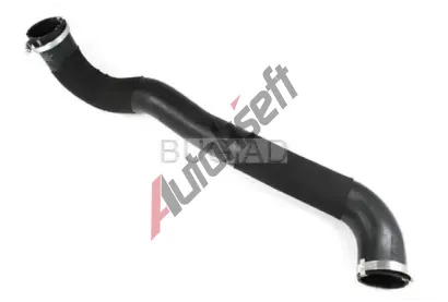 BUGIAD Hadice plnicího vzduchu BGD 88603, 88603 BUGIAD Hadice plnicího vzduchu BGD 88603, 88603