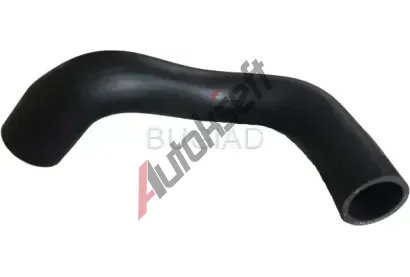 BUGIAD Hadice plnicho vzduchu BGD 88631, 88631