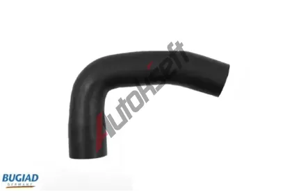 BUGIAD Hadice plnicho vzduchu BGD 88633, 88633