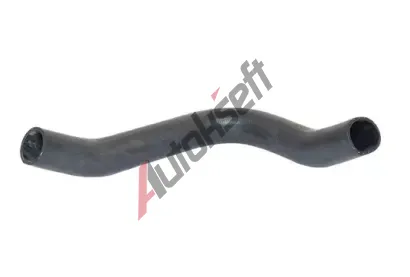 BUGIAD Hadice plnicho vzduchu BGD 88658, 88658