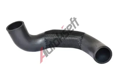 BUGIAD Hadice plnicho vzduchu BGD 88661, 88661