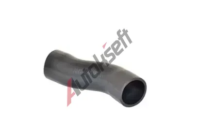 BUGIAD Hadice plnicho vzduchu BGD 88671, 88671
