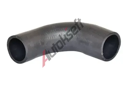 BUGIAD Hadice plnicho vzduchu BGD 88694, 88694